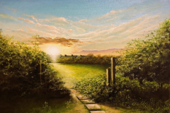 Croft-Terrace-Field-Jarrow-looking-from-Borough-road