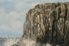 Inner-Farne