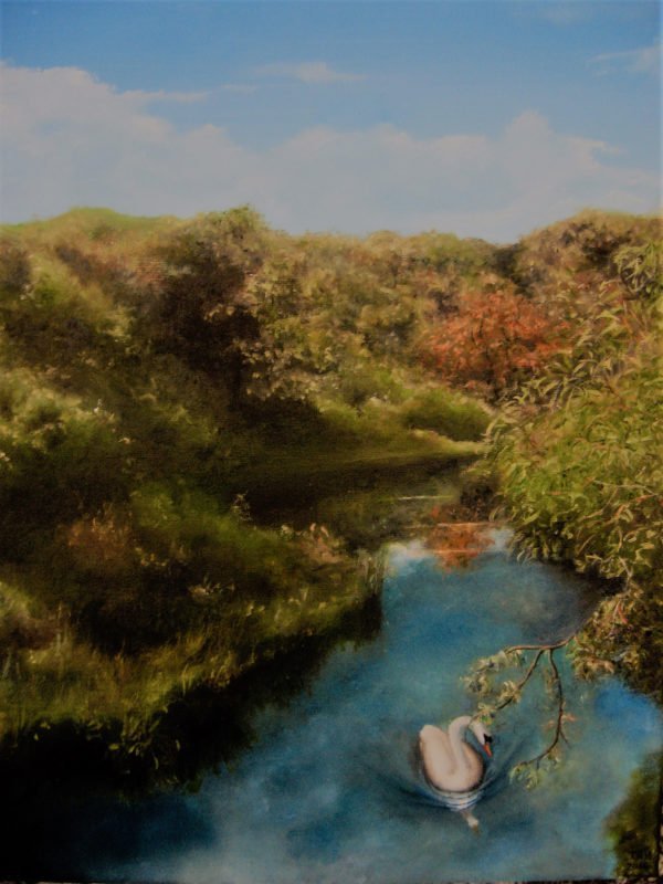 Terry Harbinson Swan On The River Don