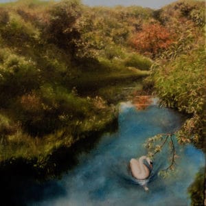 Terry Harbinson Swan On The River Don